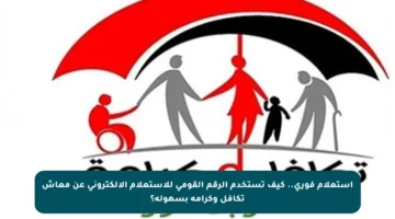 استعلام فوري.. كيف تستخدم الرقم القومي للاستعلام الإلكتروني عن معاش تكافل وكرامة بسهولة؟